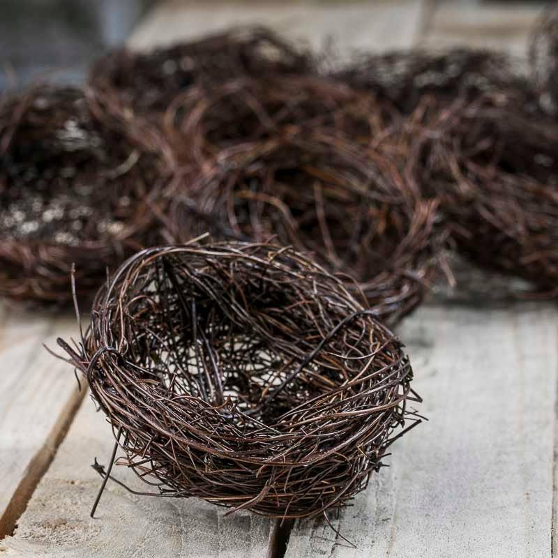 Twig Birds Nest