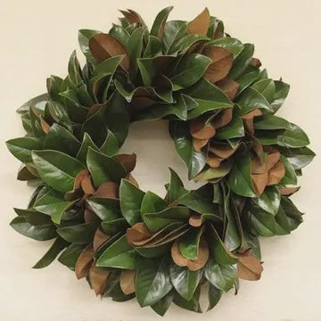 The Classic 30-inch Lucknow Southern Fresh Magnolia Wreath