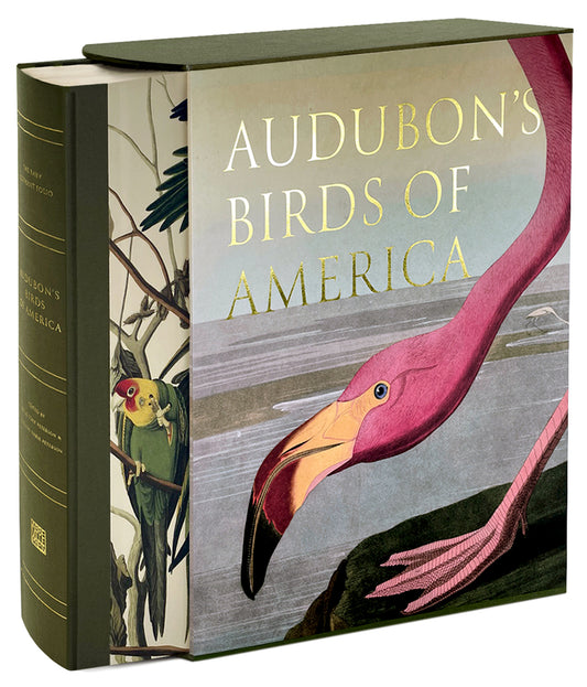 Birds of America