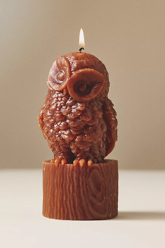 Owl Candle