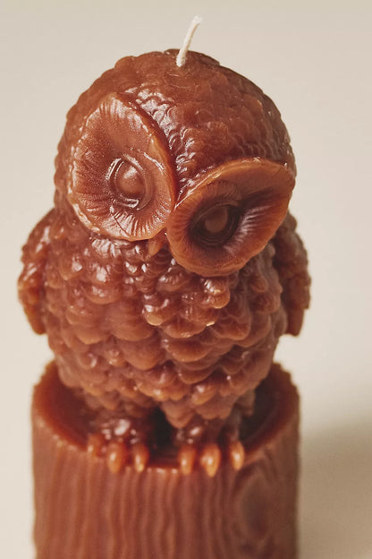 Owl Candle