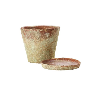 Planter w/ Saucer