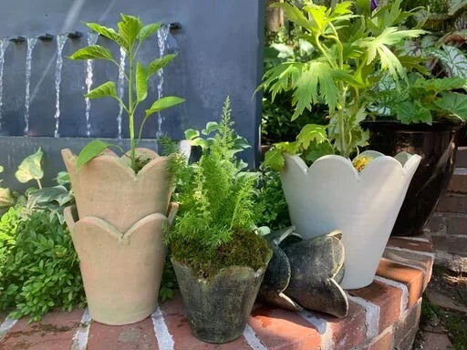 Pottery - Surrey
