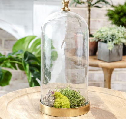 Glass Cloche
