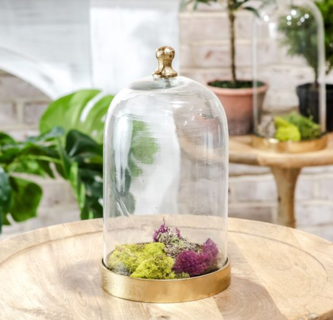 Glass Cloche