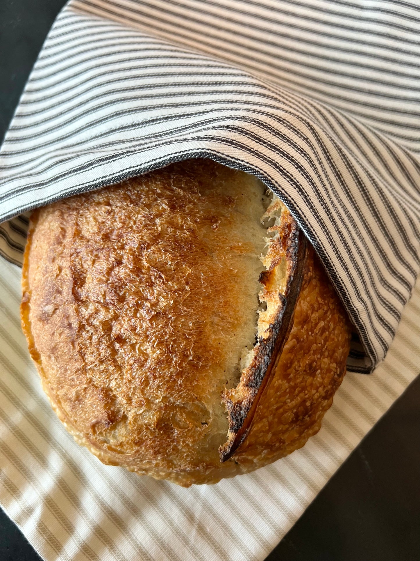 Bread Bag/Bowl Cover