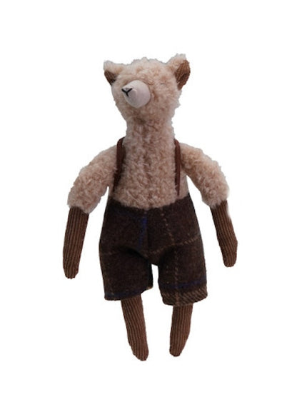 Llama in Clothes