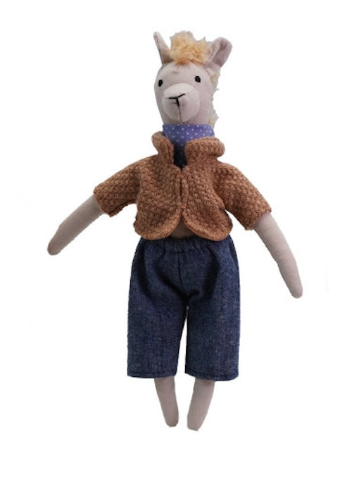 Llama in Clothes