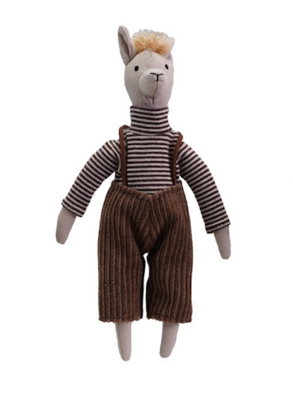 Llama in Clothes