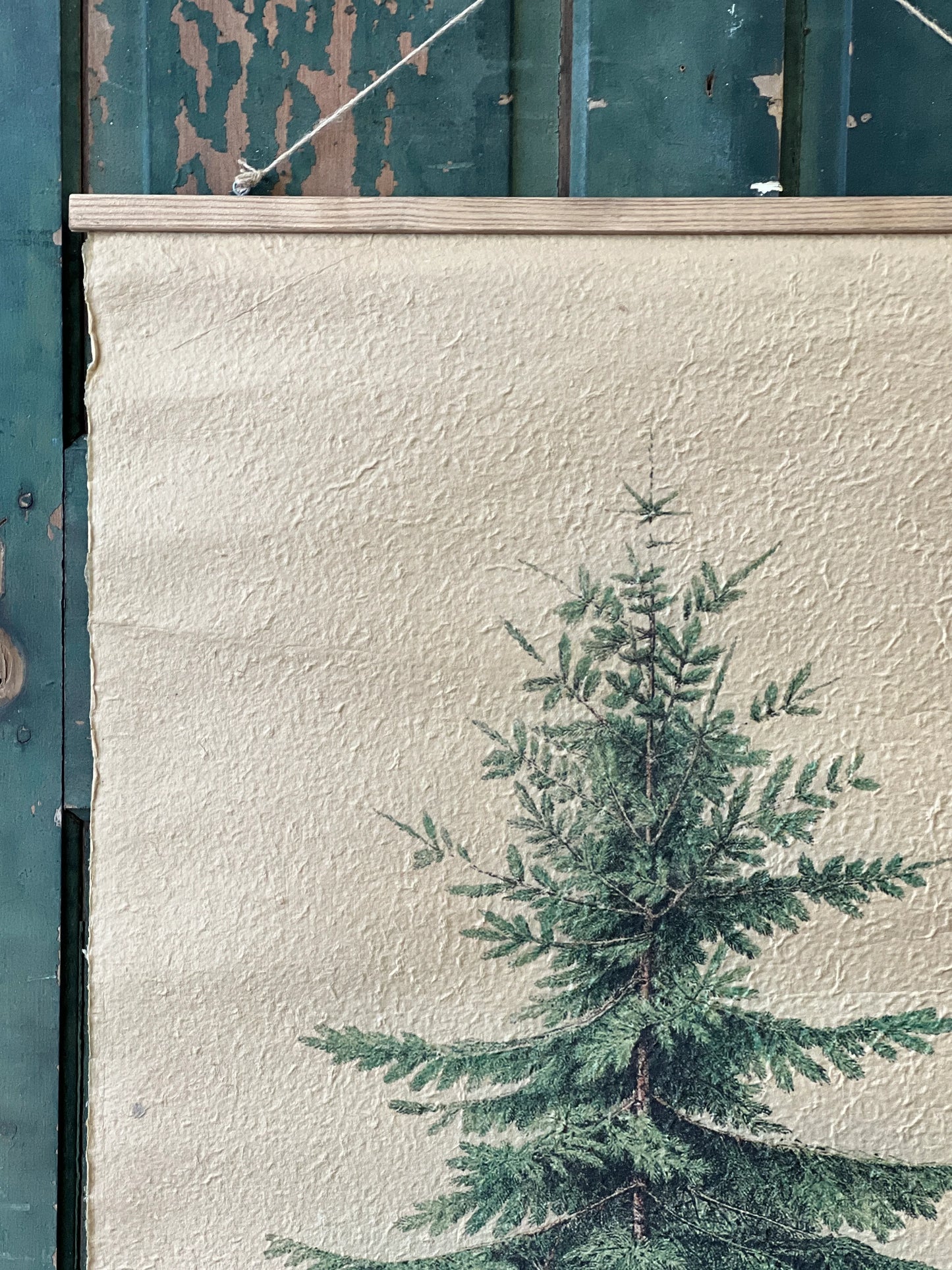 Grand Fir Hanging Scroll