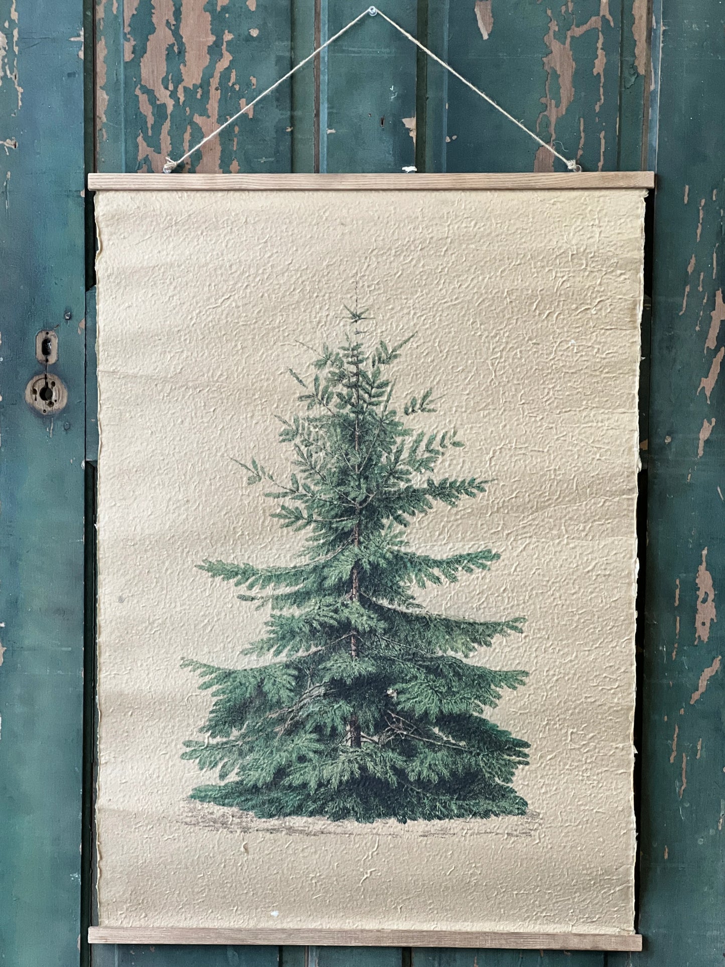 Grand Fir Hanging Scroll