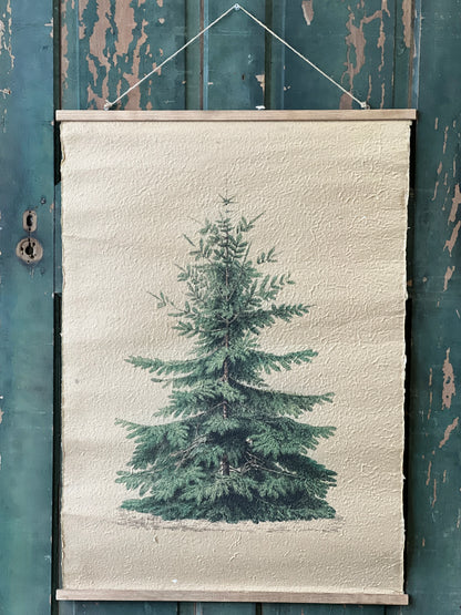 Grand Fir Hanging Scroll