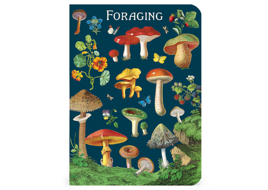 Mini Notebooks