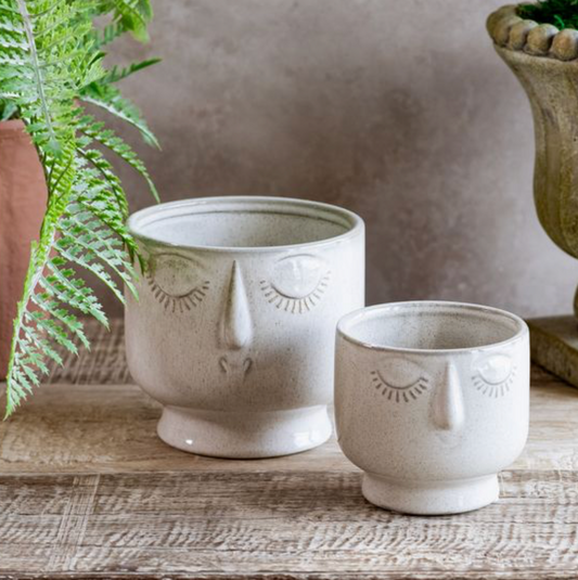 FACE PLANTERS