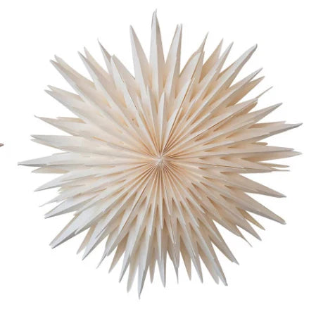 Paper Snowflake