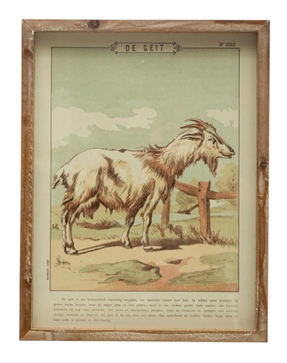 Wall Décor w/ Animal