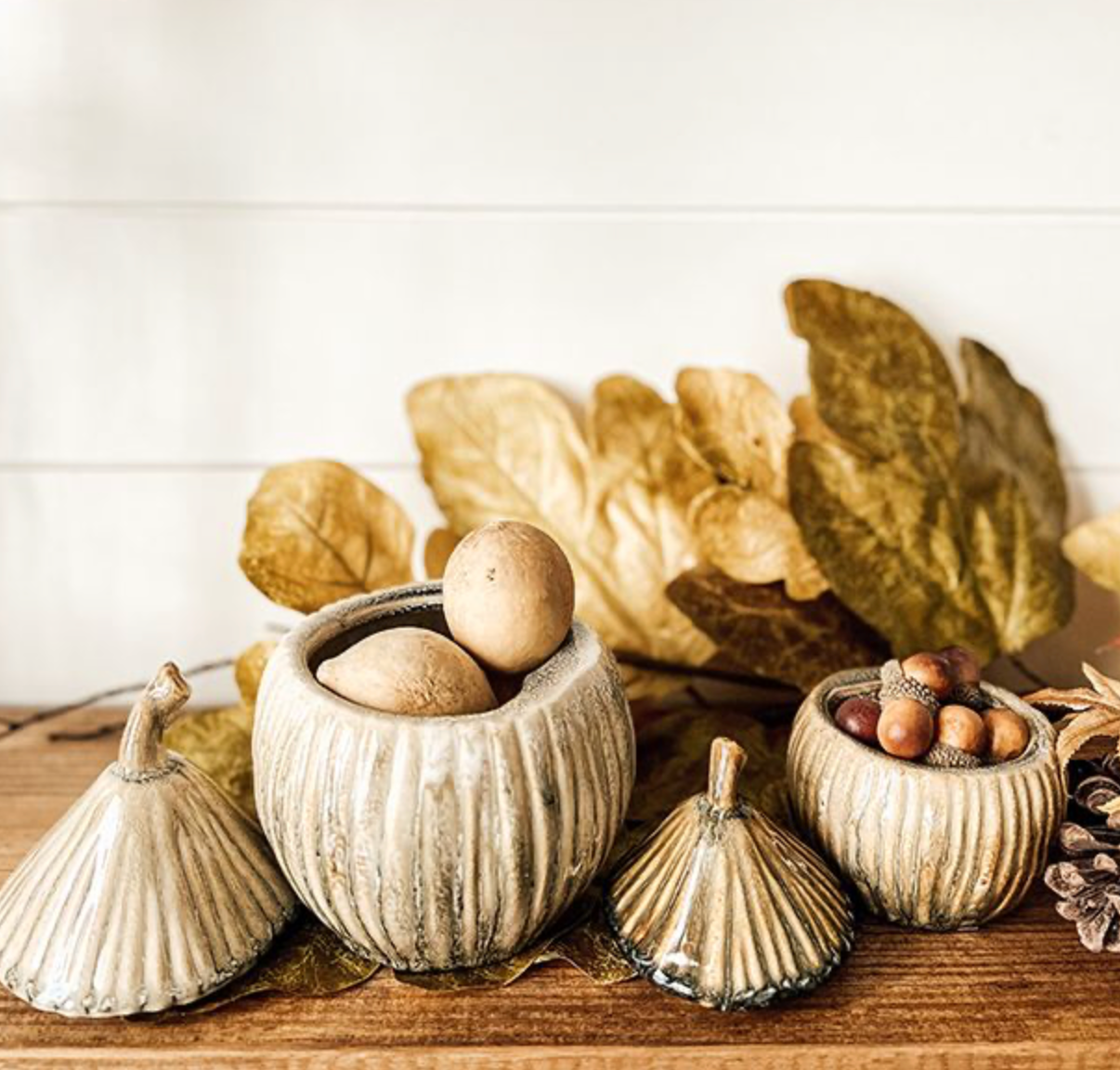 Acorn Canister