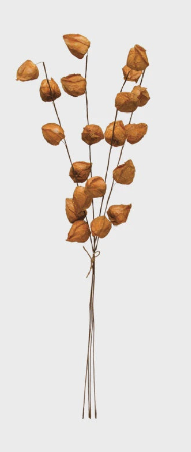 Paper Lantern
