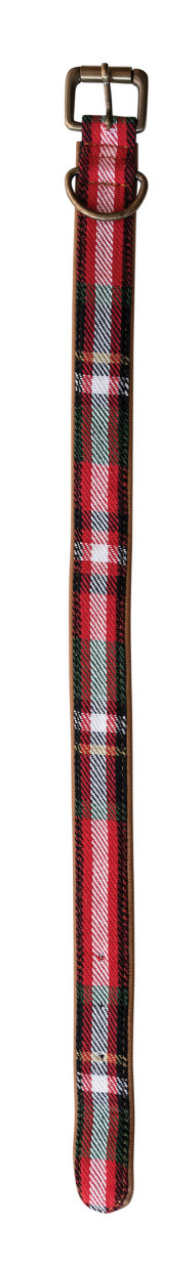 Dog Collar