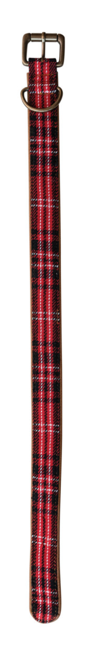 Dog Collar