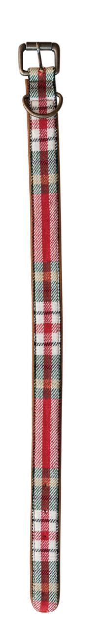 Dog Collar