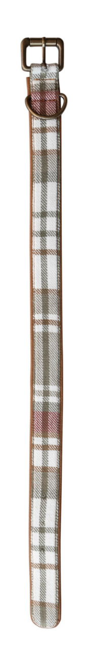 Dog Collar