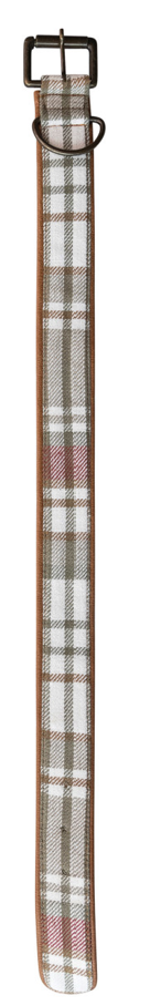 Small Dog Collar