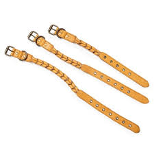 Dog Collar
