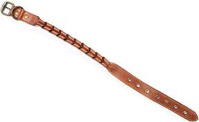 Dog Collar