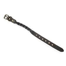 Dog Collar