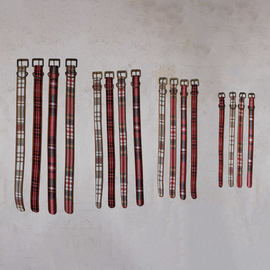 Dog Collar
