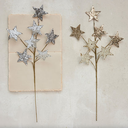 Glitter Star Spray