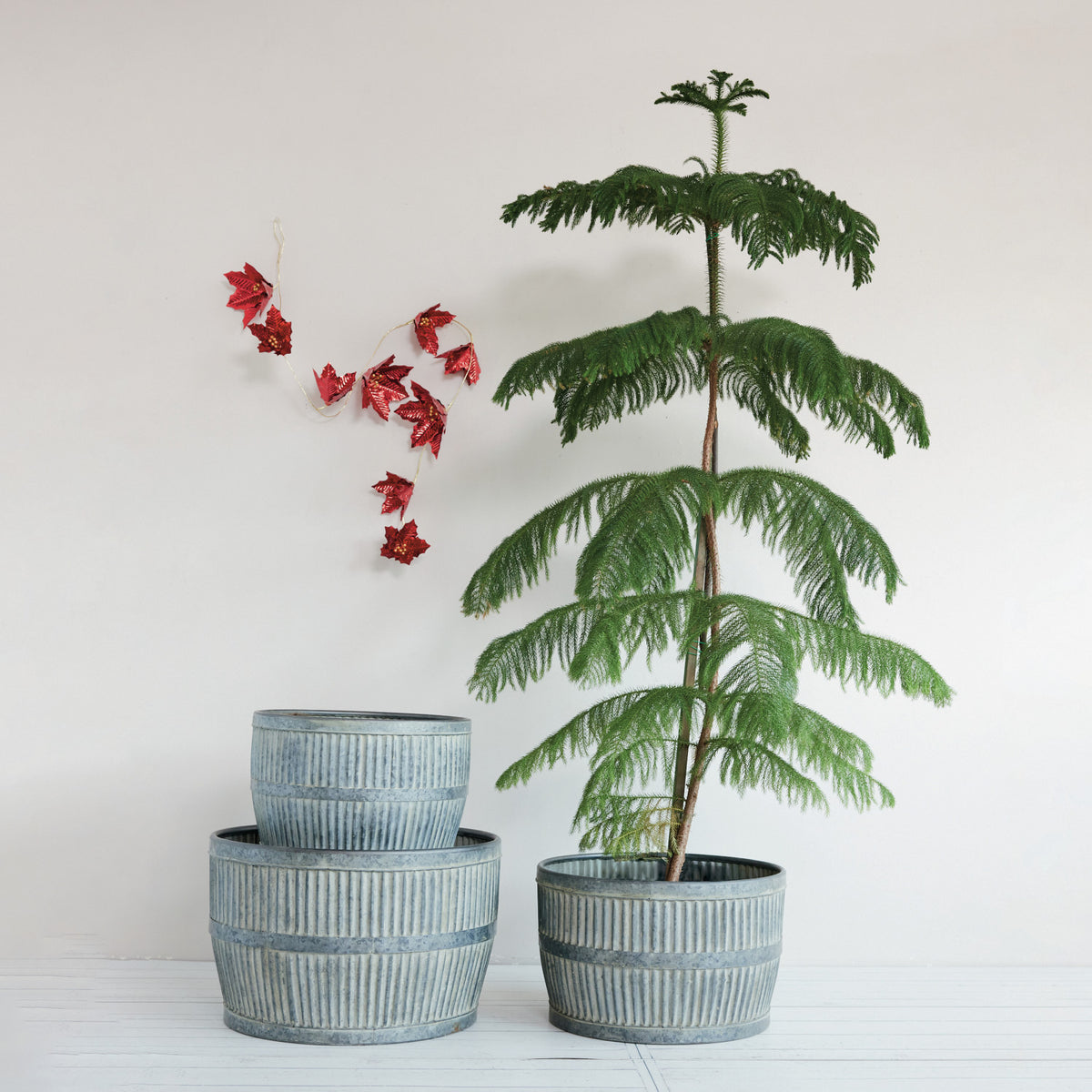 Fluted Planters
