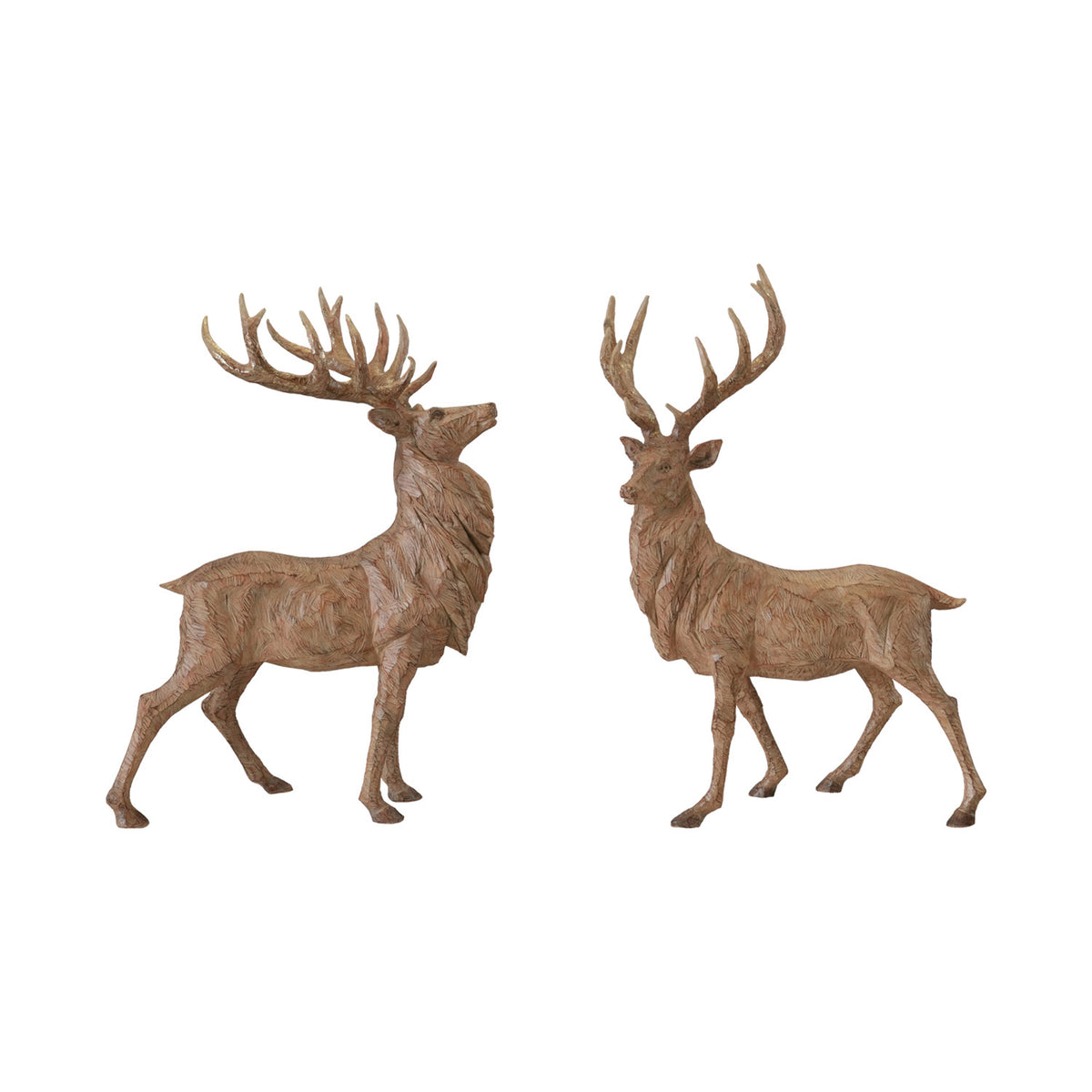 Standing Deer