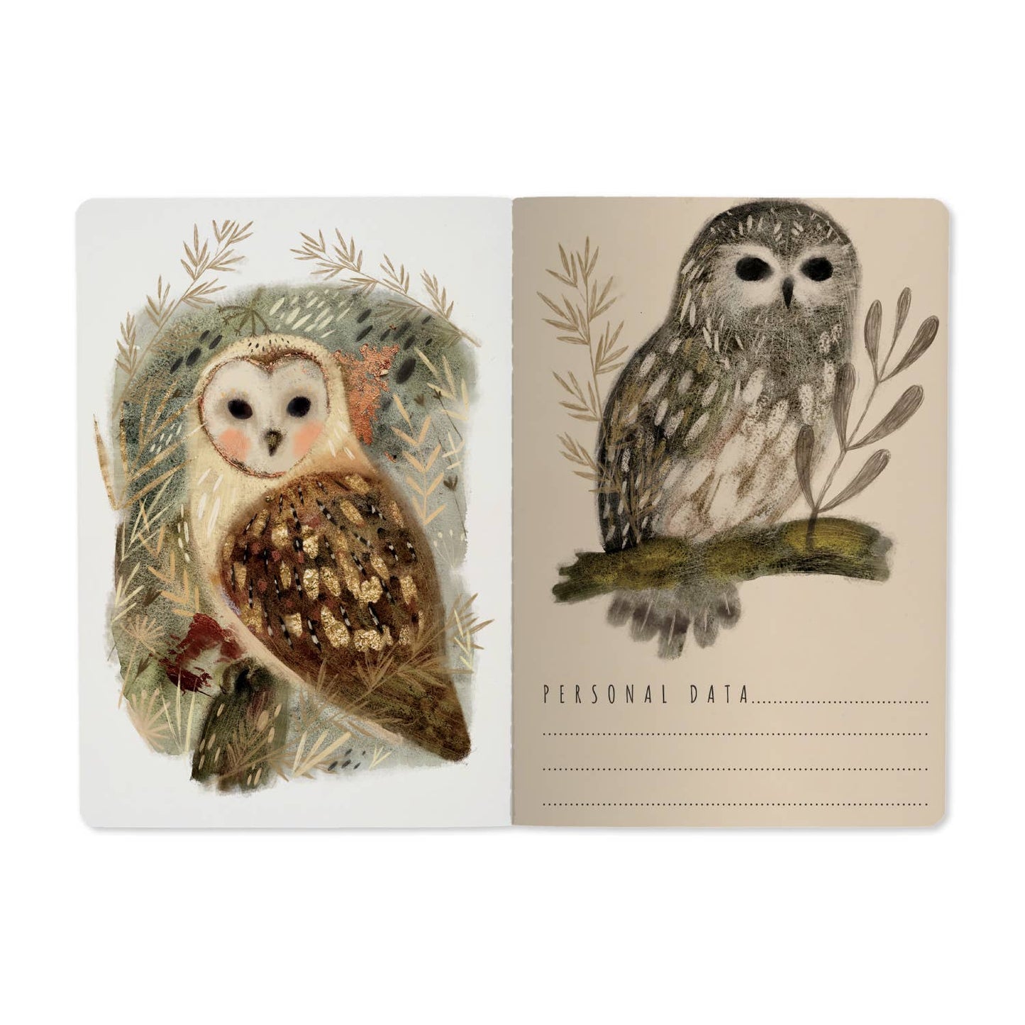 Notebook - Owls