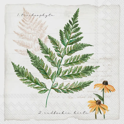 20 Paper Lunch Napkins