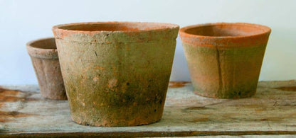 Terracotta farm pots