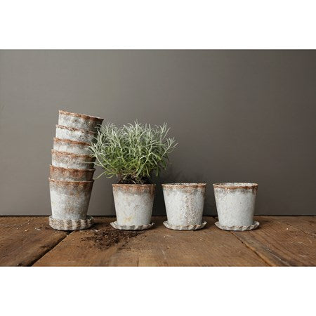 Planter w/ Saucer