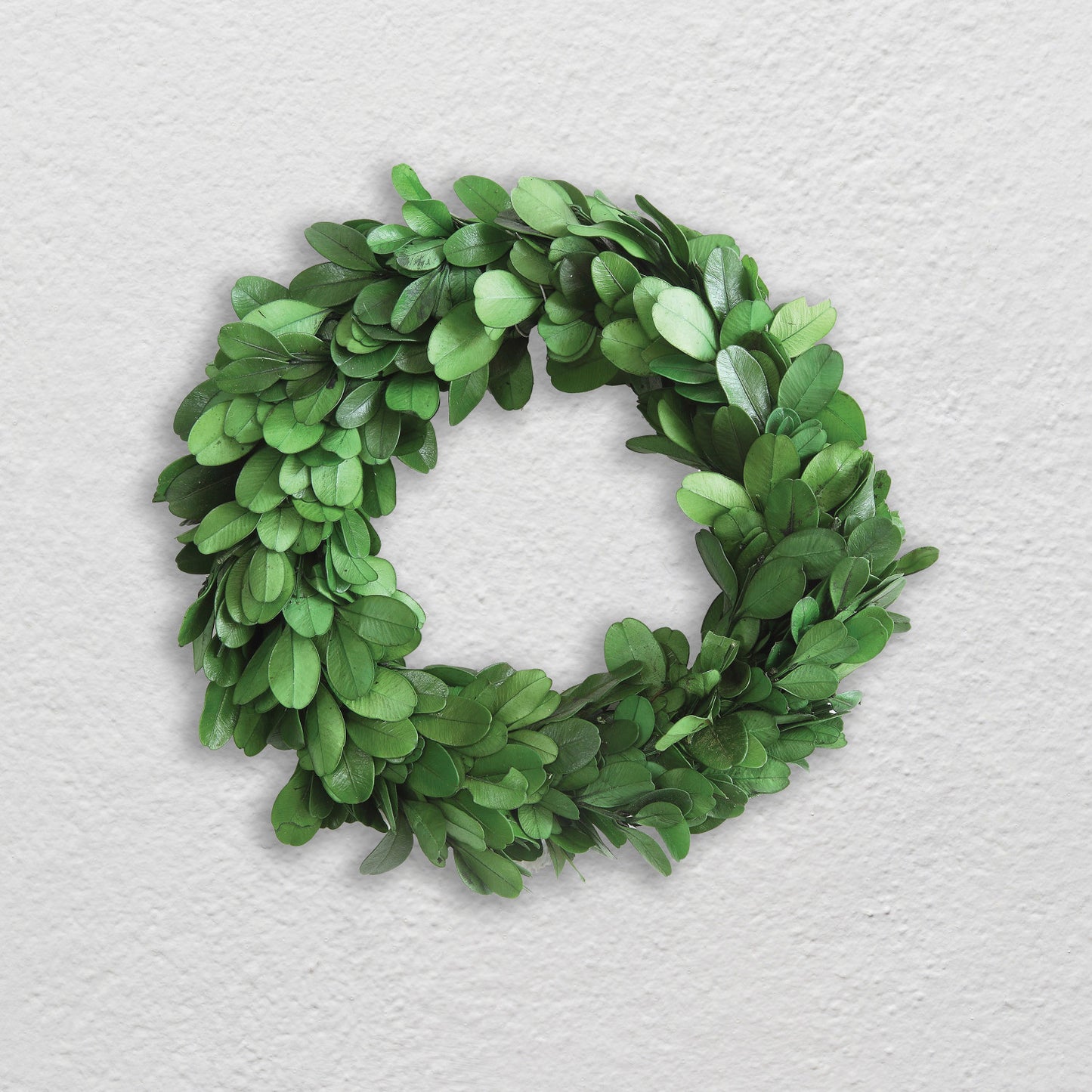 Preserved Boxwood Wreath