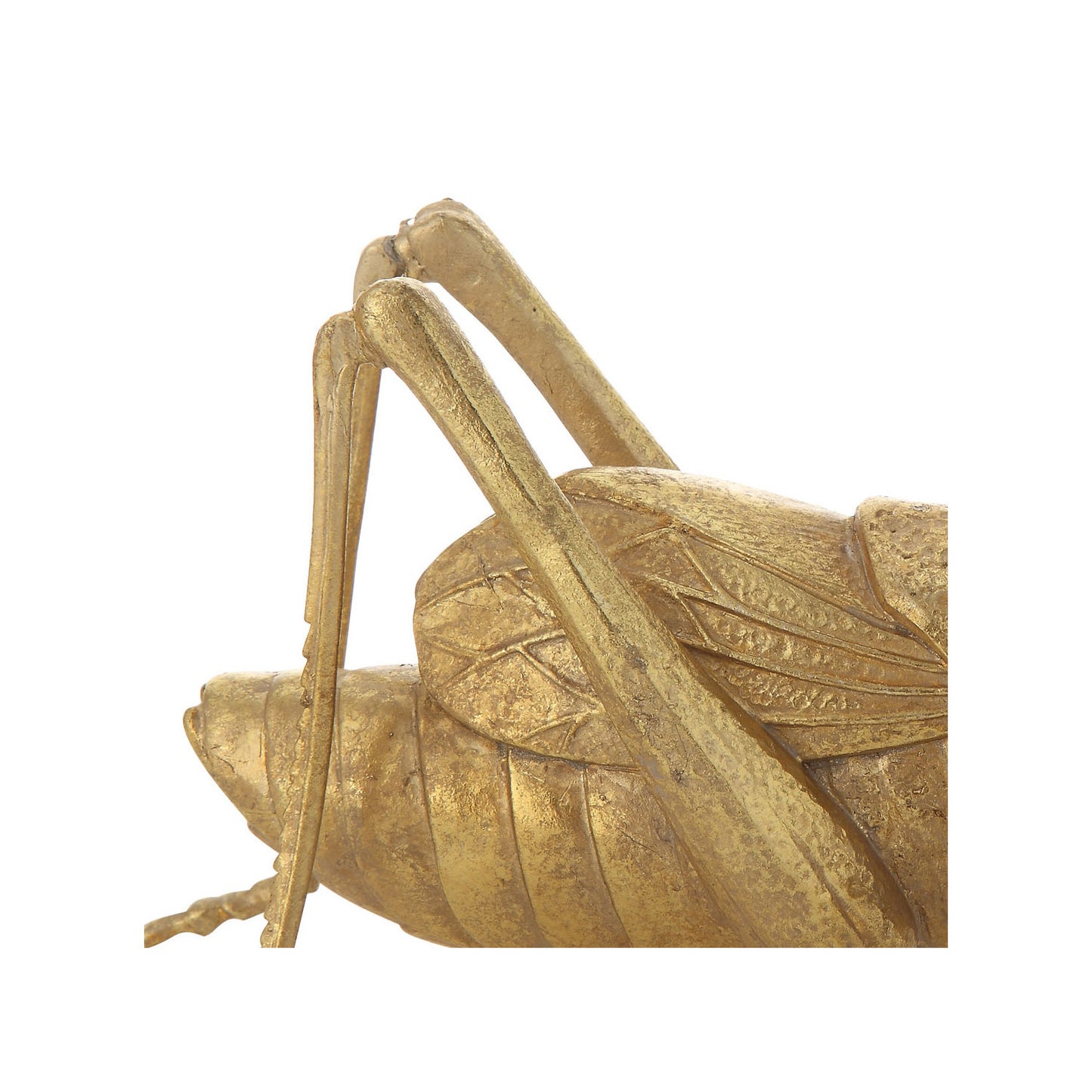 Resin Cricket, Gold Shinny Finish