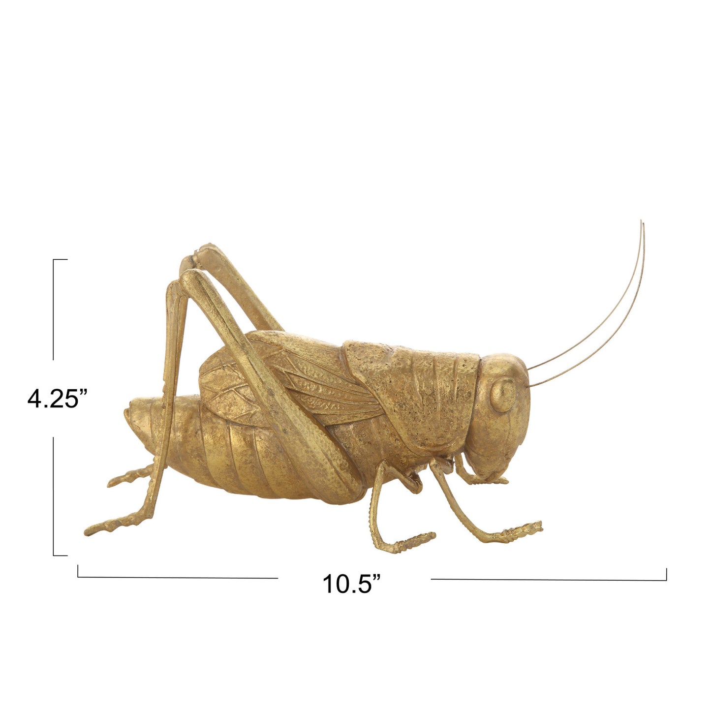 Resin Cricket, Gold Shinny Finish