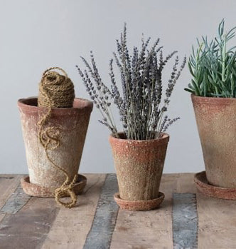 Planter w/ Saucer