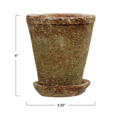 Planter w/ Saucer