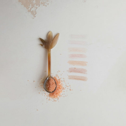 Horn Spoon