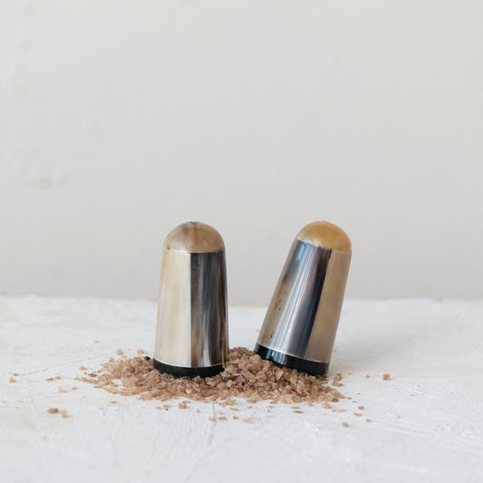Horn Salt Shakers, Set of 2