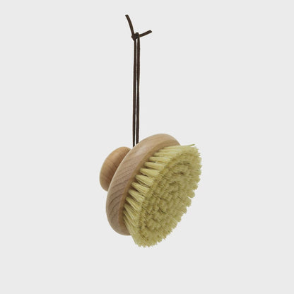 3-3/4"L Beech Wood Body Brush