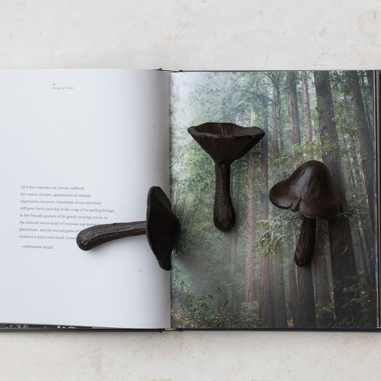 Mushroom