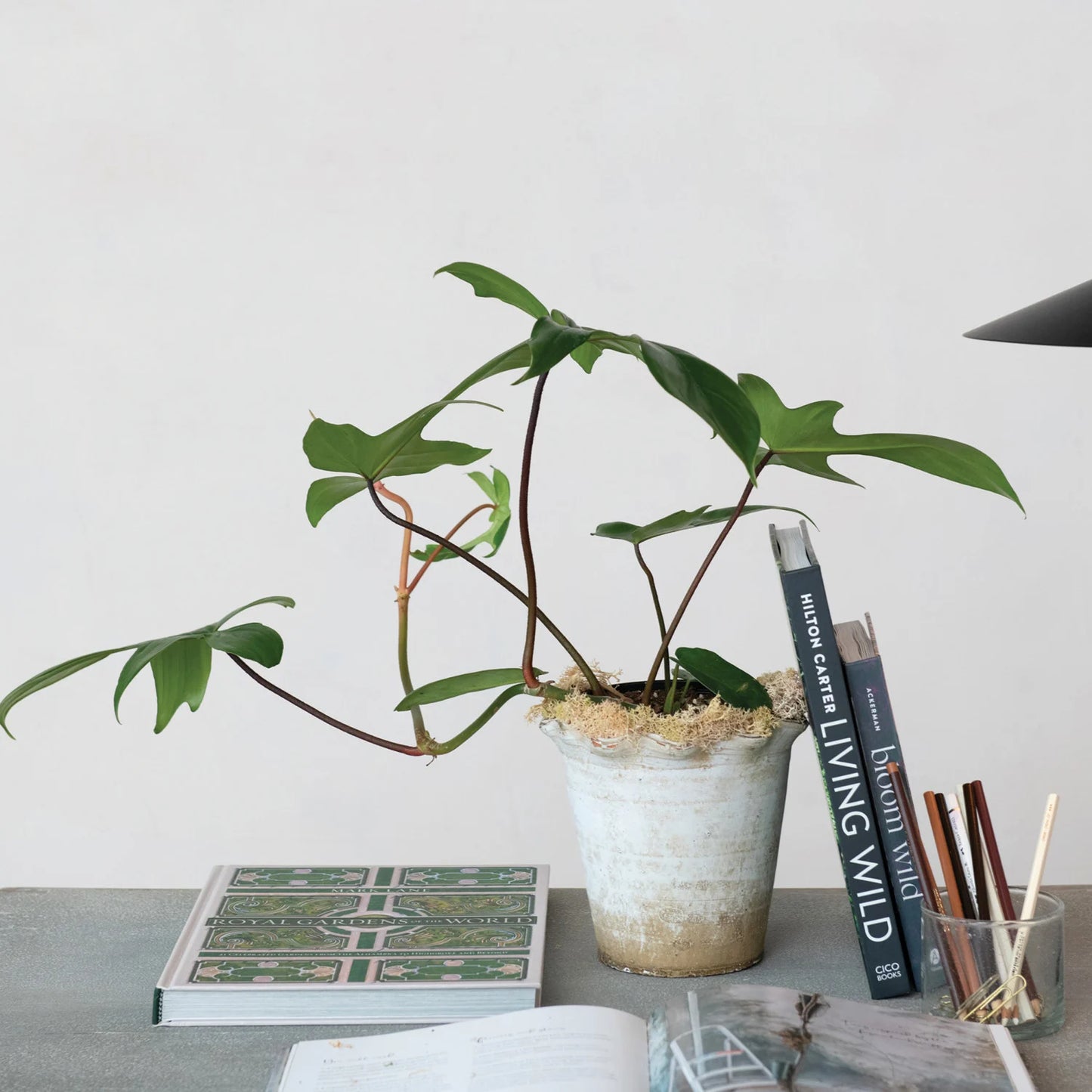 Terra-cotta Planter