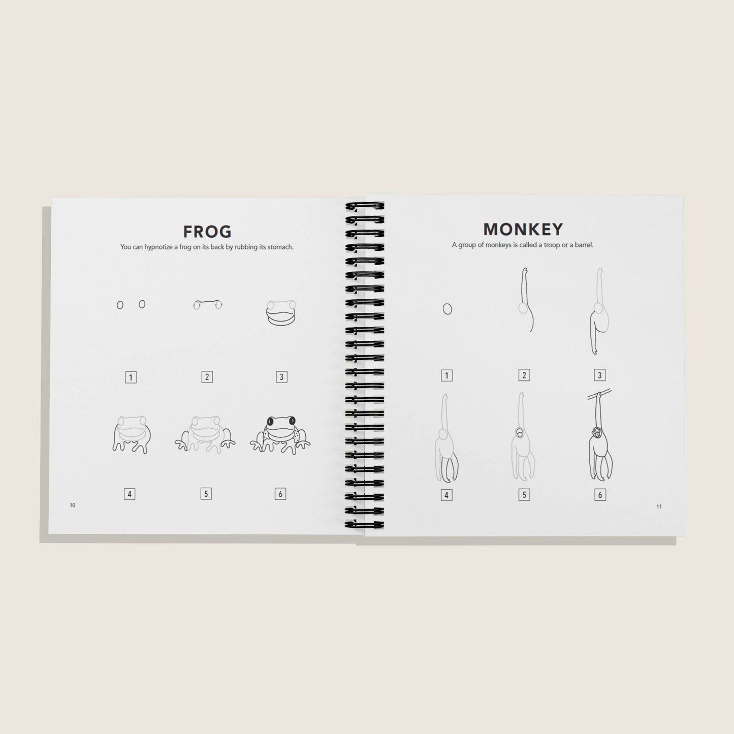 How to Draw All the Animals