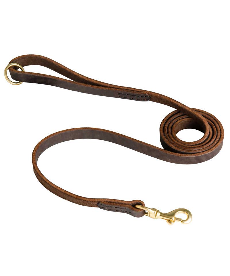 Dog Leash